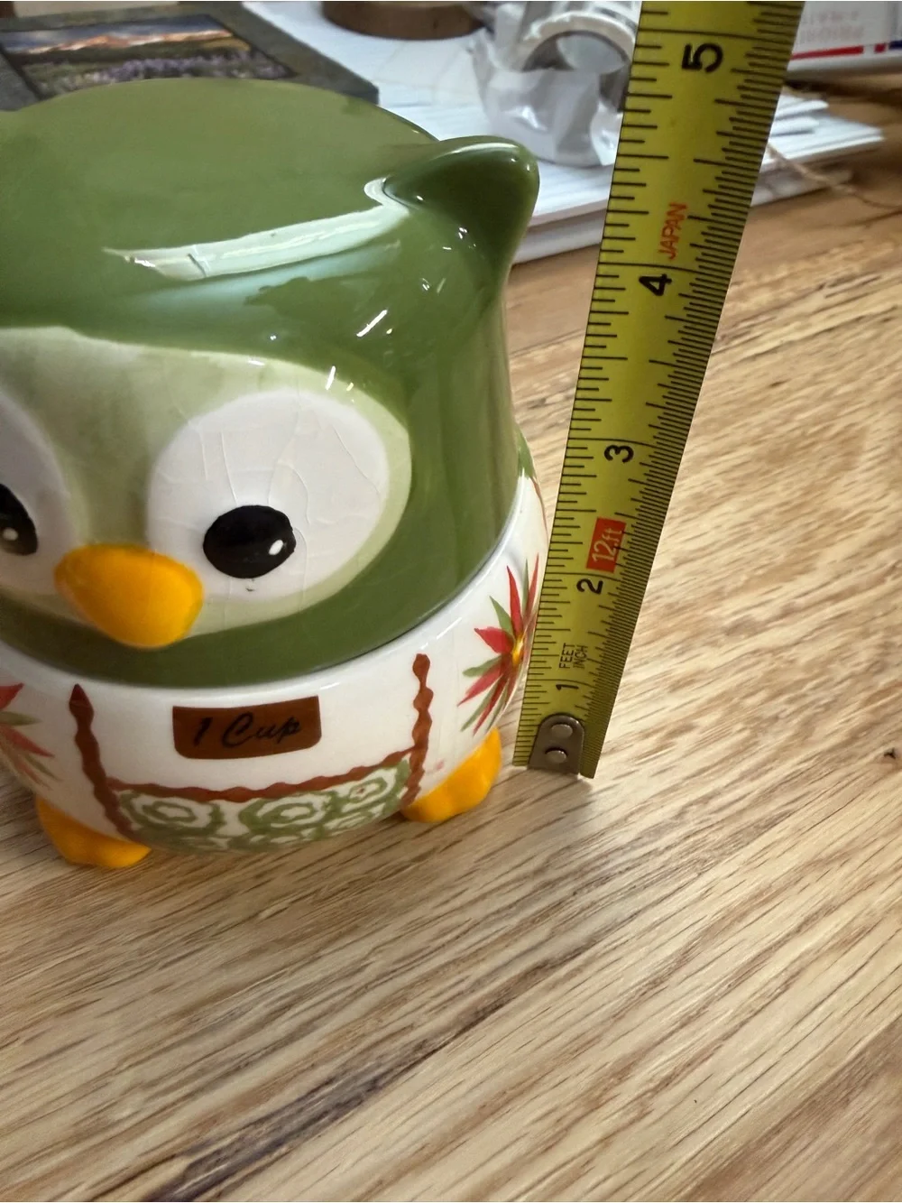 Temptations Green Owl Ceramic Kitchen Canister - 1 Cup